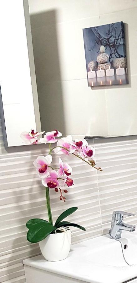 Loft Apartamento Sevilla 16 Alicante Eksteriør bilde